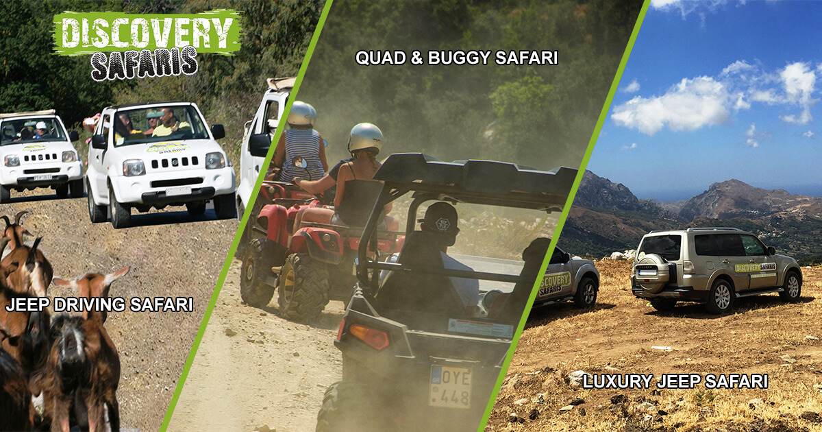 quad and buggy safari